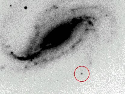 Uma das fotografias originais da supernova (no círculo vermelho).