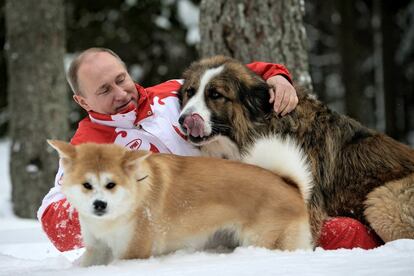 Desde que Vladímir Putin lloró la muerte de 'Konnie', un labrador negro, los políticos no han hecho más que regalarle nuevas mascotas. En 2010, el primer ministro de Bulgaria le obsequió con un mastín búlgaro al que llamó 'Buffy'. Dos años después, recibió a 'Yumé', un perro de la raza japonesa Akita; este fue un regalo por su apoyo al país nipón tras el tsunami de 2011.