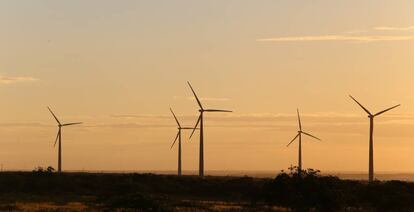 Parque de energía eólica.