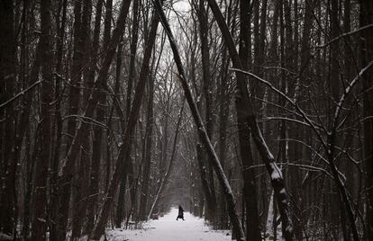 Una mujer camina en un parque después de una nevada en Sofía (Bulgaria).