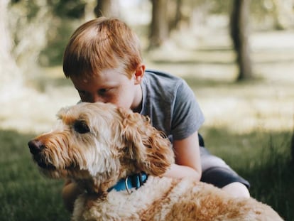 Un niño abraza a su perro.