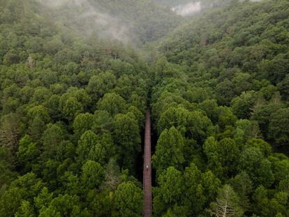 La <a href="https://bikepacking.com/routes/virginia-mountain-bike-trail/" target="_blank">Virginia Mountain Bike Trail </a> es una ruta de casi 800 kilómetros de ‘bikepacking’, una especialidad que mezcla senderismo y cicloturismo, que atraviesa algunos de los mejores paisajes del sur de Estados Unidos. La ruta partió de la idea visionaria de un ciclista de montaña, Chris Scott, que diseñó uno de los senderos de ‘bikepacking’ más bellos e interesantes de América, por los picos y valles de la cordillera Azul de Virginia (las llamadas Blue Ridge Mountains). Intentando imitar las grandes rutas de Colorado y Arizona, este ciclista y sus amigos enlazaron 770 kilómetros de caminos estrechos, pistas de grava y pasos entre crestas, para diseñar un recorrido muy exigente pero accesible, desde Strasburg hacia Damascus. Este 'biketrail' tiene una cuarta parte de la dimensión de la famosa ruta Appalachian Trail y casi se junta con ella, por lo que es una alternativa cada vez más popular para vivir una aventura al aire libre menos masificada y sostenible. Hay que dedicar dos semanas para recorrerla completa y contar con cierta experiencia previa. La recompensa son unas vistas increíbles y acampar en parajes naturales solitarios. Los que tengan menos bagaje siempre pueden fragmentar el camino en tramos más cortos o hacer una excursión más cómoda y asequible por el vecino valle de Shenandoah.