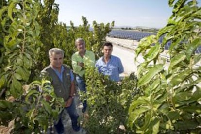 Pascual Hortelano, Santiago Mart&iacute;nez y Manuel Herrera, en el parque solar Las Ramblas de Cieza (Murcia).