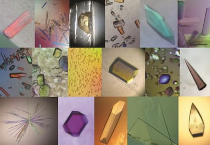 Mosaico de cristales biológicos.