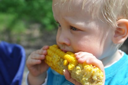 Los m&aacute;s peque&ntilde;os tambi&eacute;n pueden comer s&oacute;lidos no triturados.