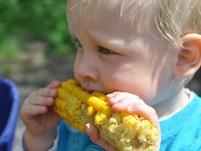 Los m&aacute;s peque&ntilde;os tambi&eacute;n pueden comer s&oacute;lidos no triturados.