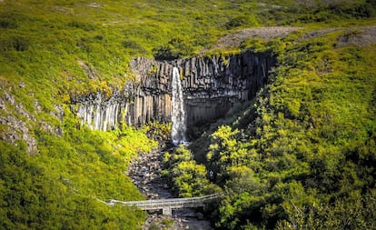 Zona arbórea de Islandia.