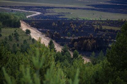 Los miradores de las zonas elevadas de la sierra de la Culebra evidencian la importancia de los cuidados sobre los montes antes del calor veraniego. Los cortafuegos habilitados antes o durante esta tragedia ecológica sirvieron para impedir el desarrollo del incendio y para que los bomberos, ayudados por voluntarios de estos pueblos, lograran someter al incendio.