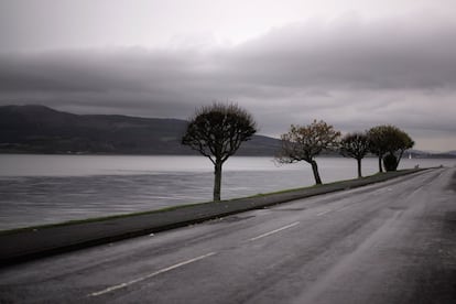 ROTHESAY, ISLE OF BUTE, SCOTLAND - DECEMBER 03: Wind-swept trees line the promenade at Rothesay on December 3, 2015 in Rothesay, Isle of Bute, Scotland. The Isle of Bute is due to welcome fifteen Syrian refugee families as part of the government's plan to give refuge to 20,000 refugees in the UK by 2020. The Isle of Bute, on the Cowal peninsular, has a population of 6,498 which swells in the Summer months due to tourism. The island has been nicknamed the 'Madeira of Scotland' (Photo by Christopher Furlong/Getty Images)