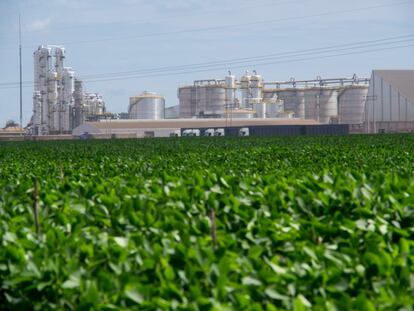 A las afueras de Sinop, una plantación de soja y, de fondo, una fábrica de procesamiento de azúcar para producir etanol.