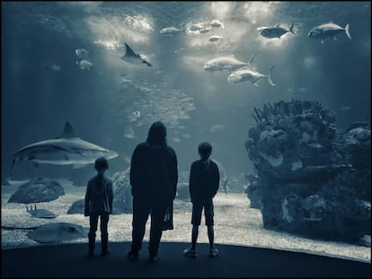 Dos niños y su madre frente a un tanque de tiburones en el Oceanario de Lisboa.