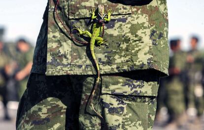 Una iguana cuelga del uniforme de un soldado mexicano durante la combustión de la marihuana, la heroína, la cocaína y la metanfetamina en una base militar en Monterrey, estado de Nuevo León.