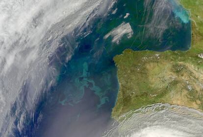 Explosi&oacute;n de fitoplancton frente a las costas de la pen&iacute;nsula ib&eacute;rica y, al norte, en el golfo de Vizcaya.