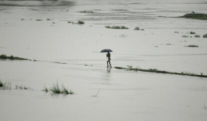 Un aldeano recorre un camino inundado en el pueblo indio de Buraburi (India). Las inundaciones provocadas por las fuertes lluvias de los últimos días han afectado a unas 320.000 personas en 699 pueblos en el estado de Assam, en el noreste de la del país.