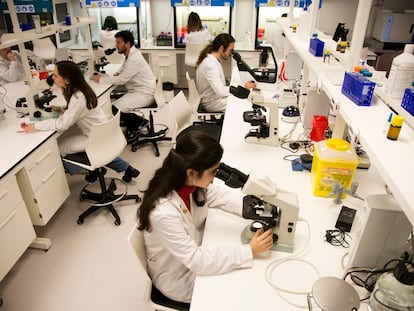 Laboratorio en la Facultad de Farmacia del CEU en Montepríncipe, el pasado diciembre.