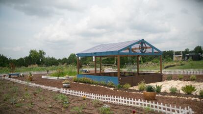 Foto de granja con productos frescos y saludables.