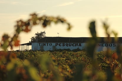 Una imagen de las bodegas Pesquera y de sus vides.