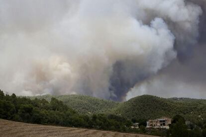 Imatge de la columna de fum de l'incendi d'Òdena.