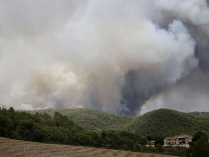 Imatge de la columna de fum de l'incendi d'Òdena.