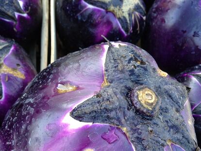 Tenemos que defender los mercados