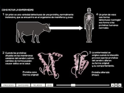 Sanidad dice que los dos muertos por las 'vacas locas' se contagiaron antes de que se aplicaran controles