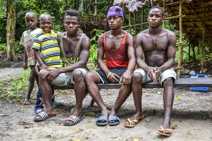 En los alrededores de Kribi, al sur de Camerún, dos pueblos pigmeos se han quedado atrapados por plantaciones de palmeras de aceite explotadas por una compañía francesa. Despojados de caza y obligados a veces a actuar para los turistas, les faltan oportunidades para salir adelante. En la imagen, Moïse Toixton, con su hijo Dany, Beltran Ngouchire, con camiseta roja, y Pascal Ndje: cuatro jóvenes bagyelis de Namikumbi.