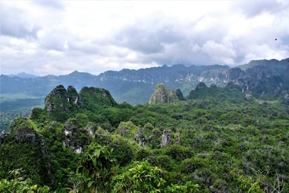 Paraje donde se encuentra la cueva de Lubang Jeriji Saléh, en Borneo.