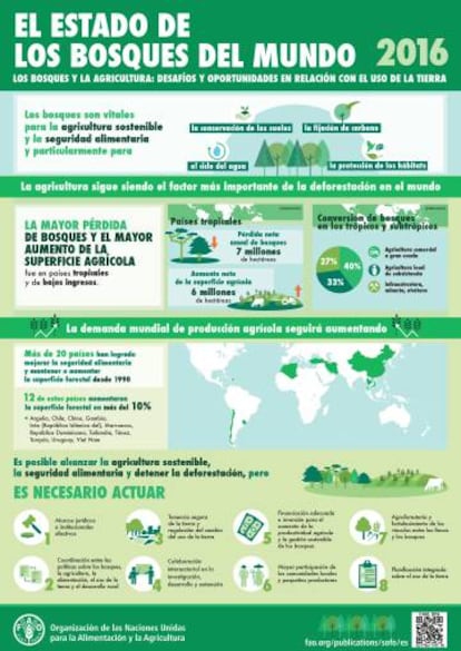 Infografía del informe sobre el estado mundial de los bosques de 2016.