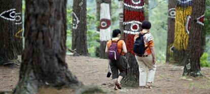 Dos personas caminan entre los pinos del 'Bosque pintado' de Oma.