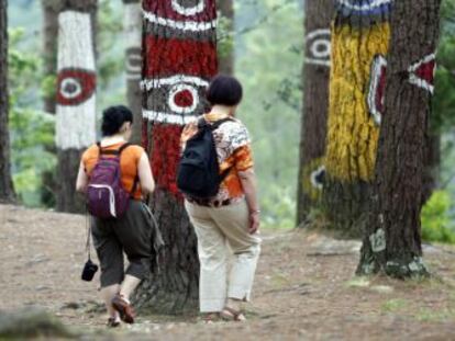 Dos personas caminan entre los pinos del 'Bosque pintado' de Oma. 