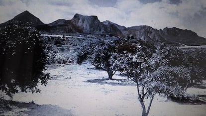 A view of the countryside near Altea where the organic agriculture project is taking place.