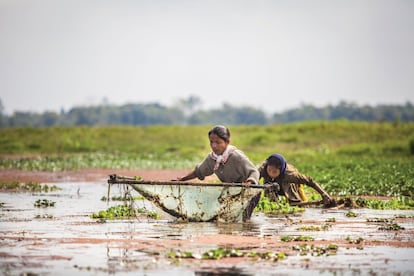 Los humedales, como este de Assam en India, son un activo extremadamente importante y en peligro para la región HKH. La protección medioambiental de esta región exige una primera y urgente medida a tomar: limitar las emisiones de gases de efecto invernadero.