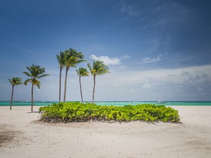 Playa Blanca, en Punta Cana, República Dominicana. 