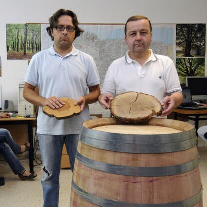 El profesor Ignacio Díaz-Maroto (de pie, a la derecha), con su equipo en la Politécnica de Lugo.