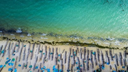 Barcas de pescadores en la orilla en una de las playas de Ifaty.