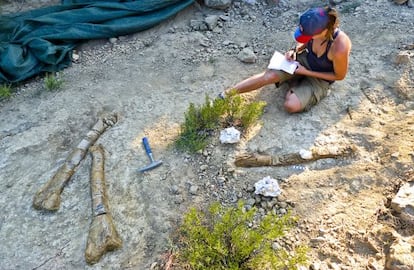 Trabajo de excavaci&oacute;n en el yacimiento donde han aparecido los restos &oacute;seos. 