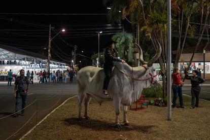 Una mujer se fotografía montando un buey en el festival. La entrada al palco vip tiene un costo de 2.990 reales (600 dólares) pero al festival se puede ingresar por 20 reales. 