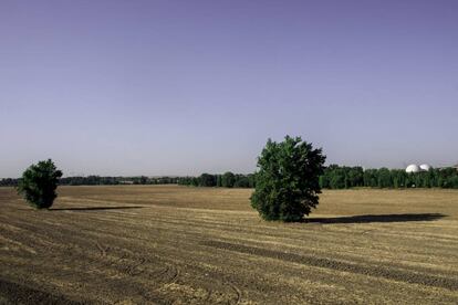 Un campo de cultivo con las bóvedas blancas de la depuradora de Butarque (Madrid) al fondo.