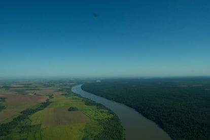 En los años 2006, 2009 y 2012, la sequía que cayó como una plaga sobre la selva paranaense mermó los recursos hídricos del entorno. 