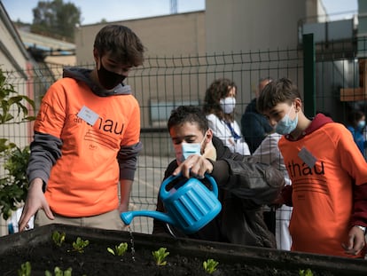 Huerto en el Hospital Vall d'Hebron con los alumnos del instituto Thau de Barcelona.  Foto: Massimiliano Minocri