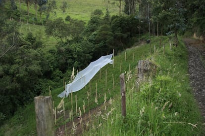 AngloGold Ashanti optó desde su llegada por ganarse a la población local a base de inversiones. Puso dinero para deporte, para cultura y financió proyectos agrícolas como el de la foto, a cuyo dueño facilitó un enorme tanque de agua y el material necesario para cultivar.