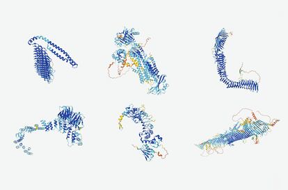 Estructuras de proteínas predichas por el sistema de inteligencia artificial AlphaFold.