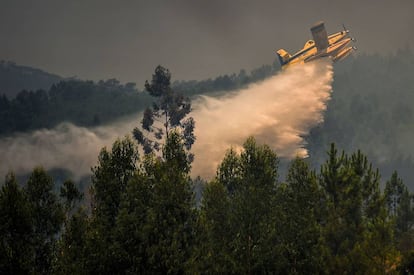 Un hidroavión lucha contra el fuego en Relva, este domingo.