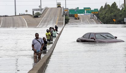 Un grupo camina por la mediana de la autopista 610 tras ser evacuados de sus casas.