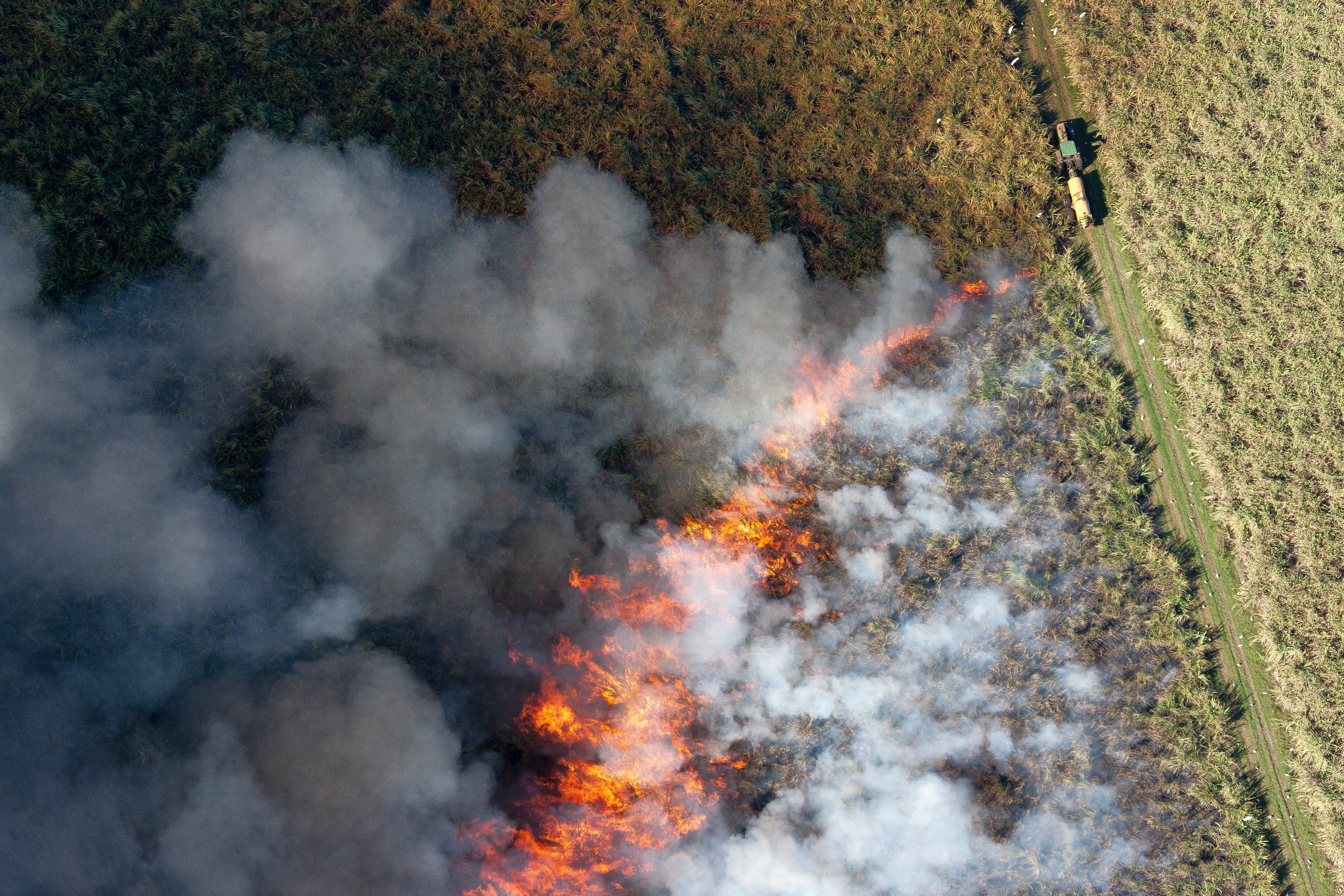 La Huaca, el distrito peruano agotado de tener como vecino a la industria de caña de azúcar