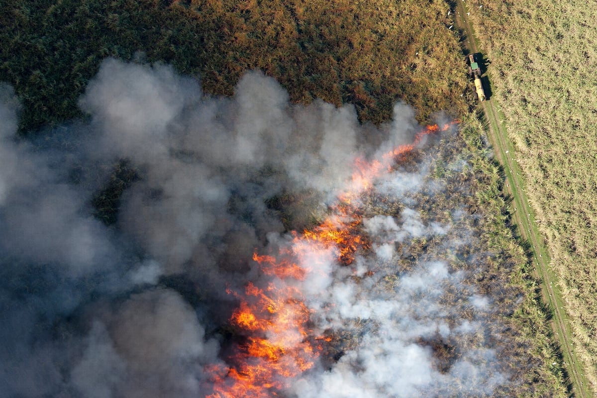 El agua ya no es un recurso, es un arma geopolítica