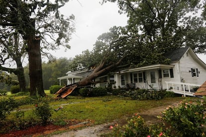 Un árbol caído se apoya en una casa después del paso del huracán Florence en Wilson (Carolina del Norte), el 14 de septiembre.