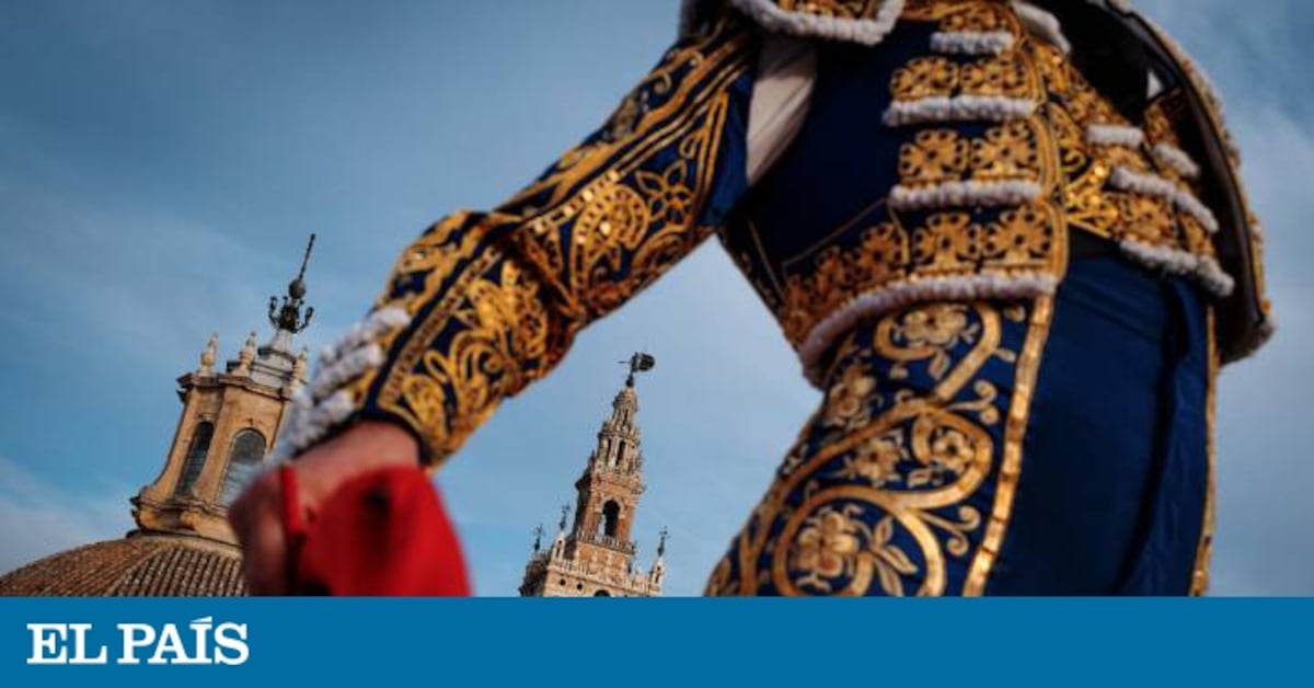 ¿Alguien cree de verdad que la fiesta de los toros es patrimonio ...