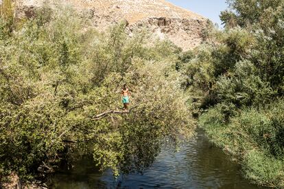 Sebas, subido a un árbol sobre el río de la Poveda, en Arganda del Rey.