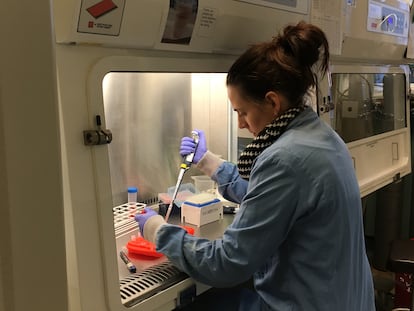 La investigadora infectando con el virus del Zika en el laboratorio.